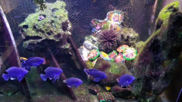 20180204_091650.jpg
