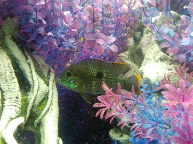 20180204_164959.jpg 20180204_164959.jpg