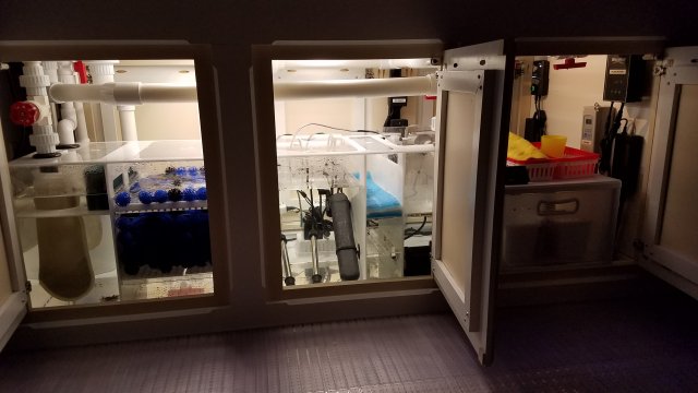 20170423_203648.jpg