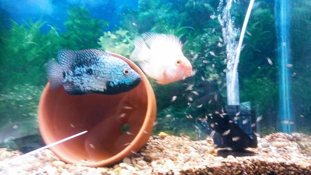 20171024_123101~2.jpg