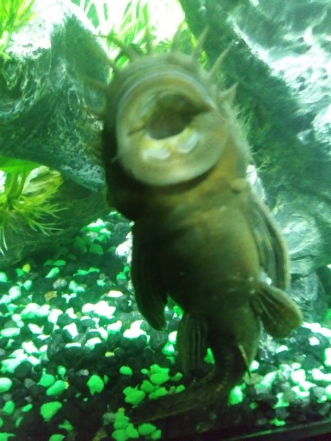 20180206_144536.jpg