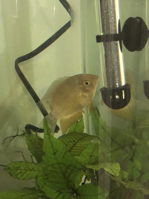 C54A5394-2B06-4A02-8DBE-C21E7EBE994A.jpeg C54A5394-2B06-4A02-8DBE-C21E7EBE994A.jpeg