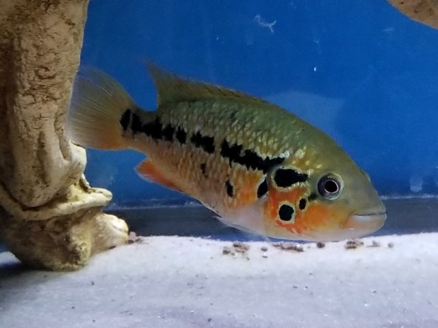 20180206_203141.jpg