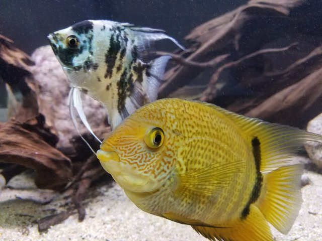 20171209_144036.jpg
