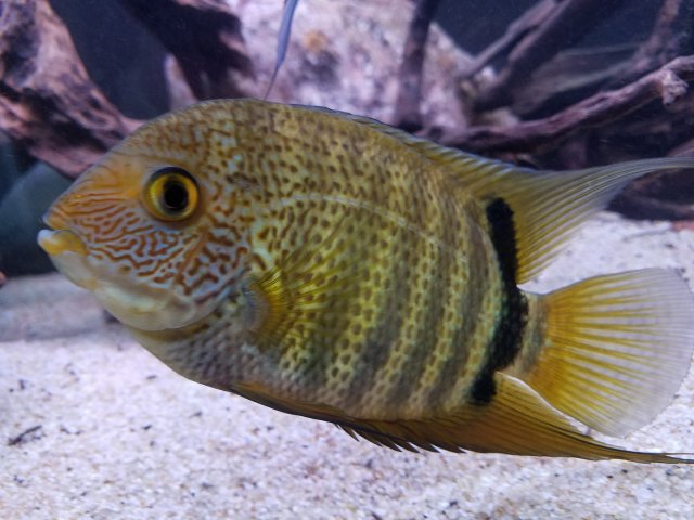 20171209_144043.jpg