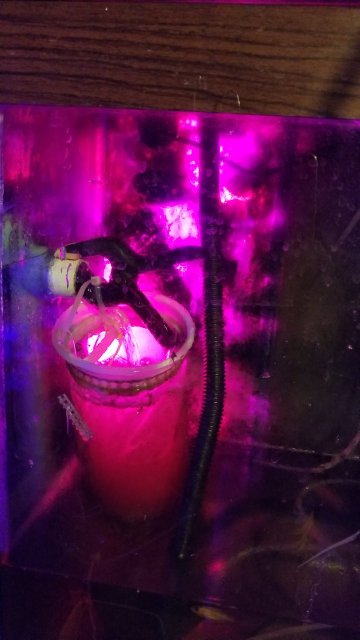 20180209_054728.jpg