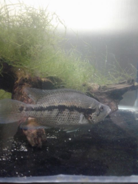 20180209_021240.jpg 20180209_021240.jpg