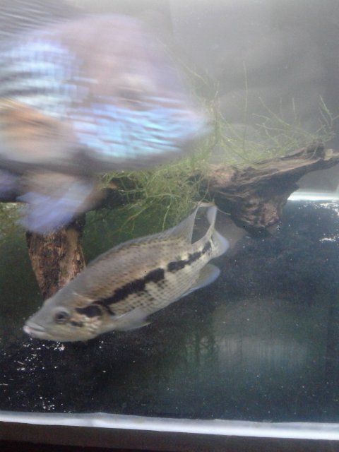 20180209_020019.jpg 20180209_020019.jpg