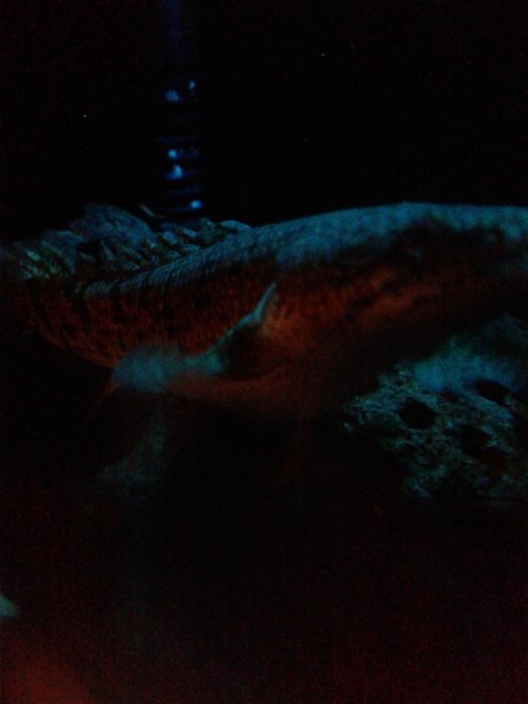 20180211_004105.jpg