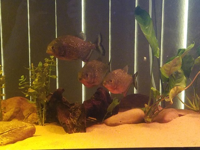 20180212_145008.jpg
