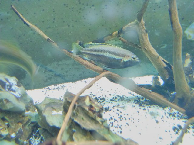 IMG_20180212_171022.jpg