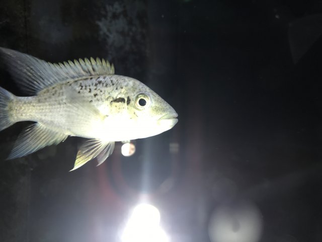 B3C741C0-ED1E-4D94-B195-50B9DE27C5F7.jpeg