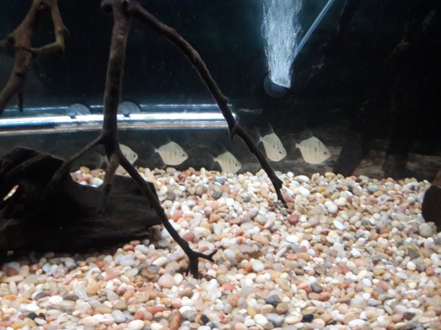 20180215_012230.jpg
