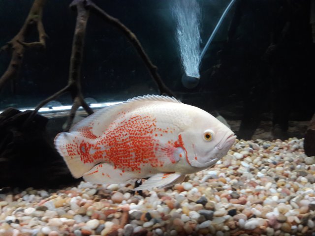 20180215_012137.jpg