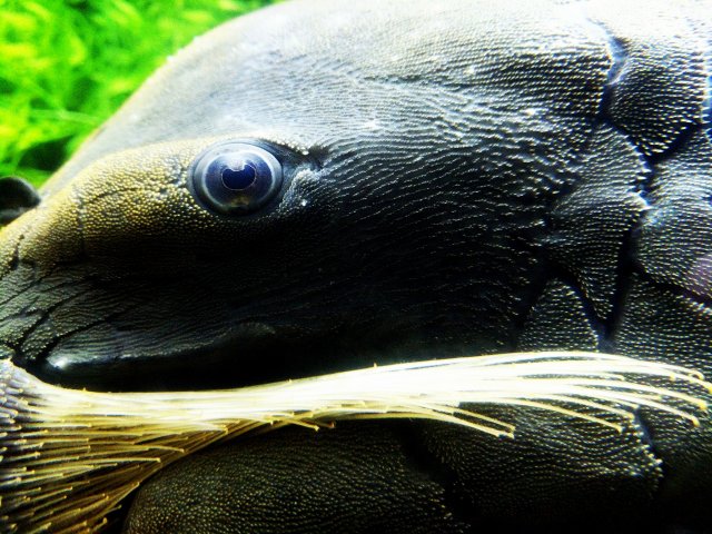 25073433_182457719003923_2738373989400122424_o.jpg 25073433_182457719003923_2738373989400122424_o.jpg