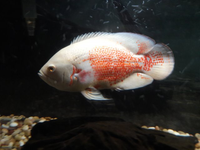 20180215_012051.jpg