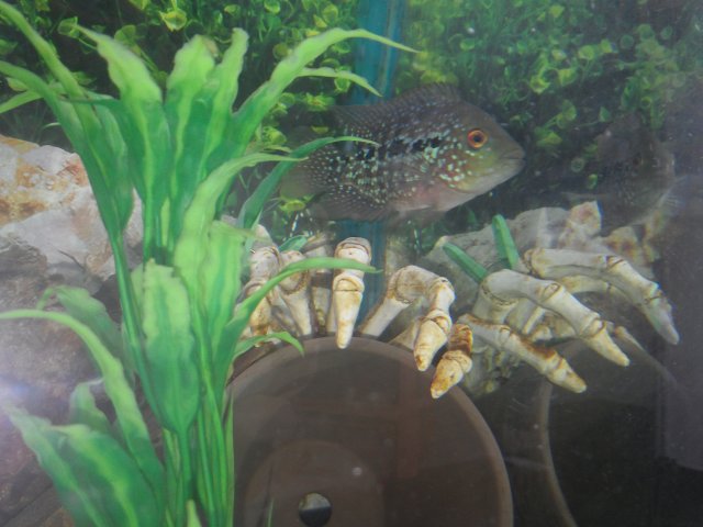 20180216_145411.jpg