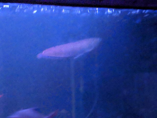 IMG_20180217_214900.jpg