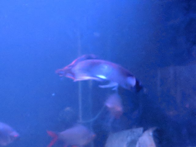 IMG_20180217_214844.jpg