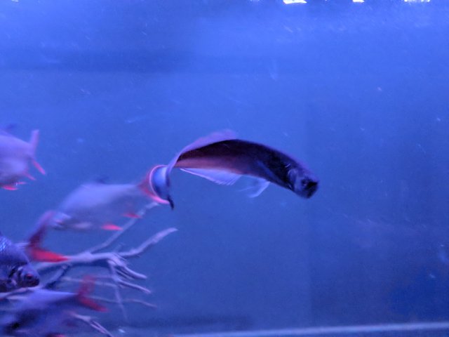 IMG_20180217_222827.jpg