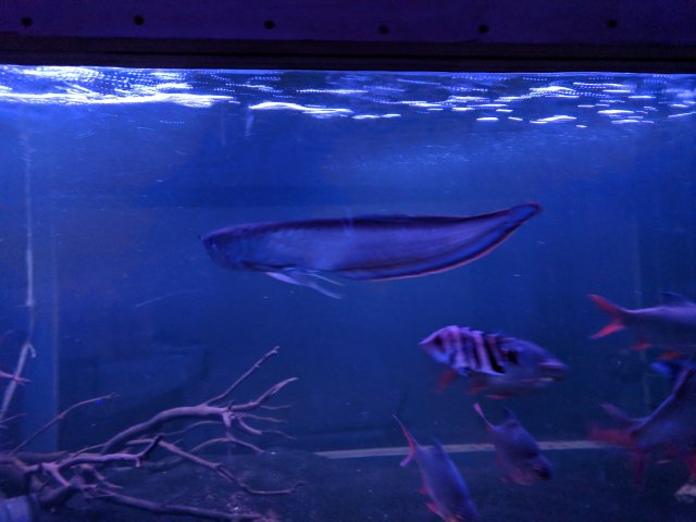 IMG_20180217_222700.jpg