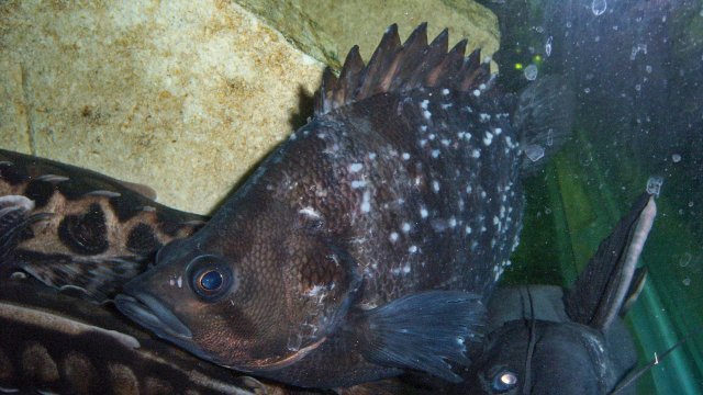 100_8035.JPG