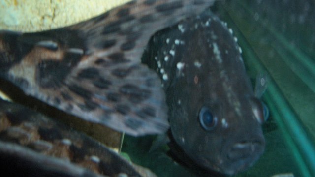 100_8036.JPG
