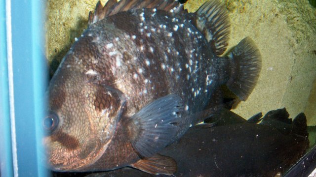 100_8038.JPG