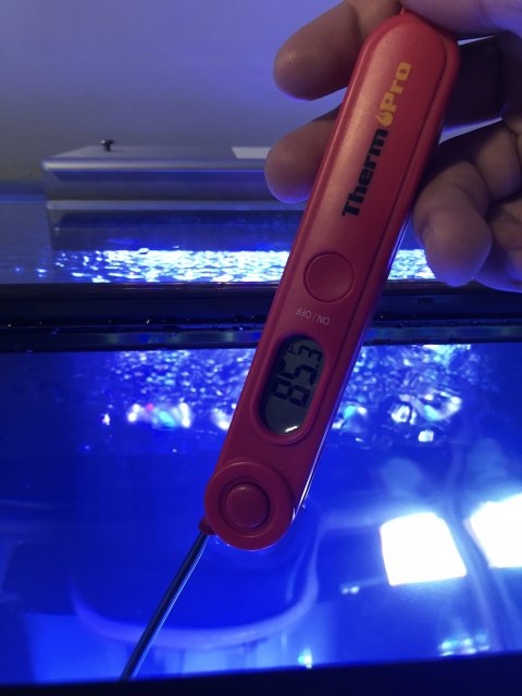 B116B6E9-C8A7-42B5-8E47-C63E494CFF83.jpeg B116B6E9-C8A7-42B5-8E47-C63E494CFF83.jpeg