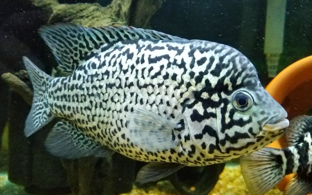 20180211_002101.jpg