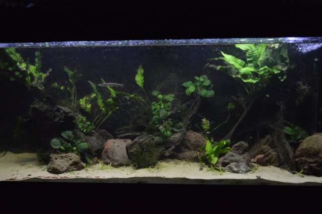 DSC_0007.JPG DSC_0007.JPG