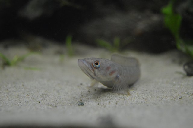 DSC_0016.JPG DSC_0016.JPG