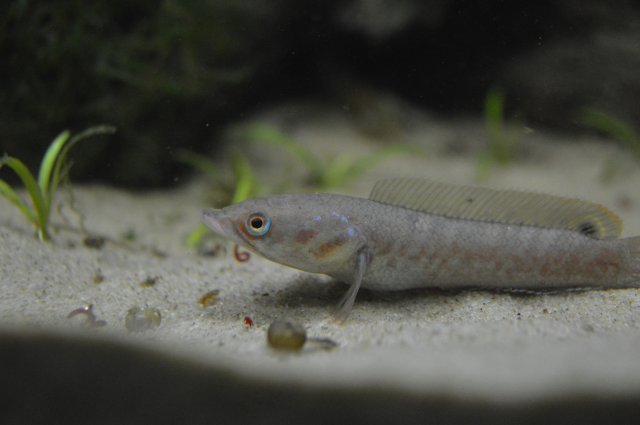 DSC_0017.JPG DSC_0017.JPG