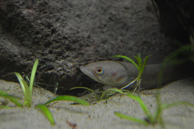 DSC_0021.JPG DSC_0021.JPG