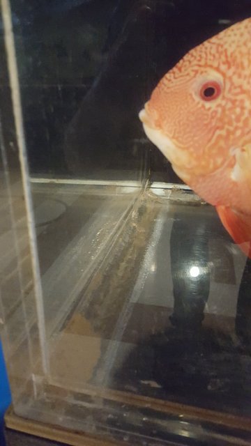 20180221_134948.jpg