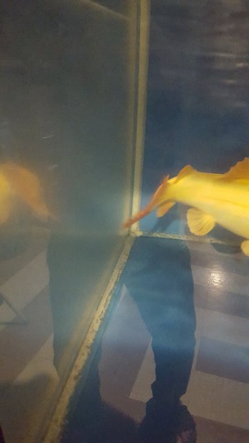 20180221_134915.jpg