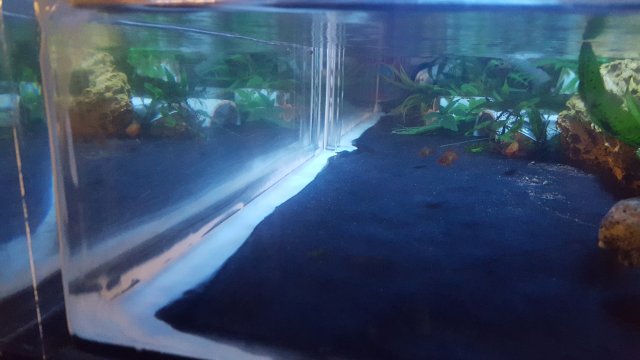 20180221_134659.jpg