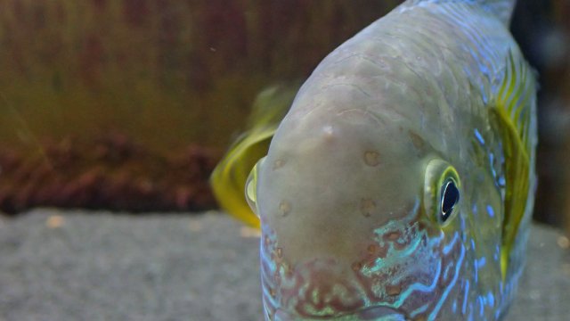 P2250811.JPG P2250811.JPG