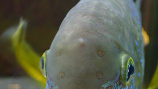 P2250812.JPG P2250812.JPG