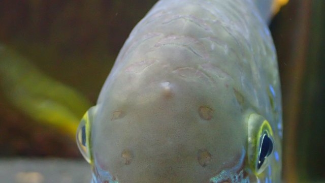 P2250813.JPG P2250813.JPG