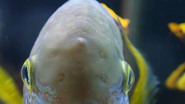 P2250814.JPG P2250814.JPG