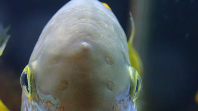 P2250815.JPG P2250815.JPG