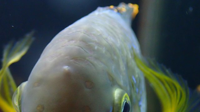 P2250816.JPG P2250816.JPG