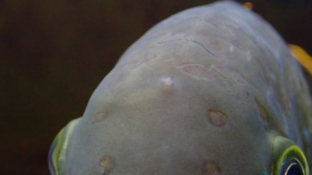 P2250818.JPG P2250818.JPG