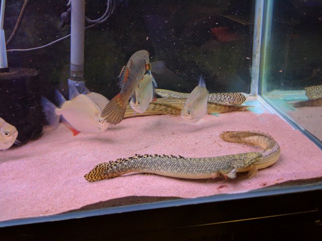 IMG_20180106_065134.jpg