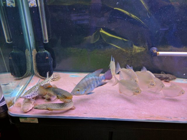 IMG_20180106_065647.jpg