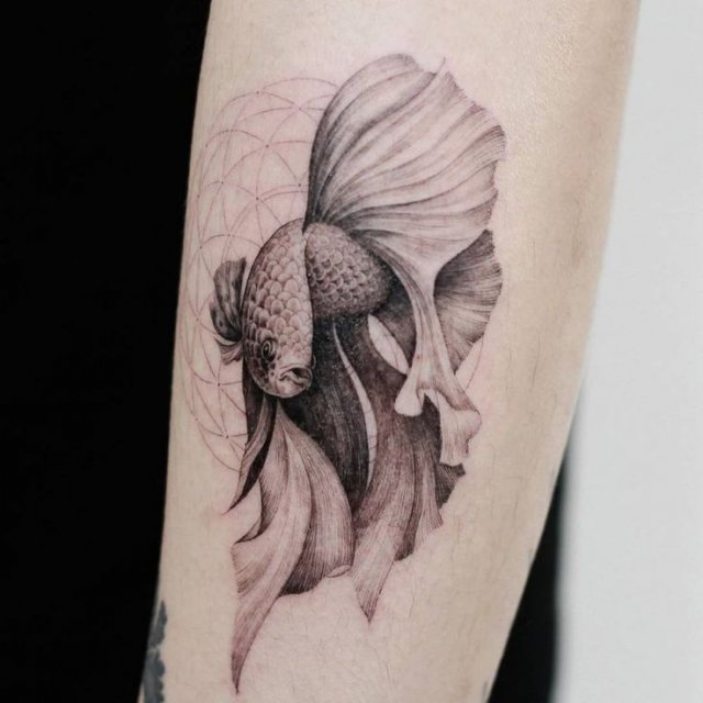 e7d5bd41089ffa450ba2f0ba7563ff12--ocean-tattoos-fish-tattoos.jpg