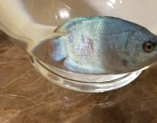 20180224_222239.jpg