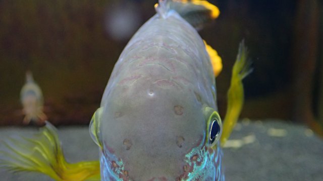 P2260870.JPG P2260870.JPG