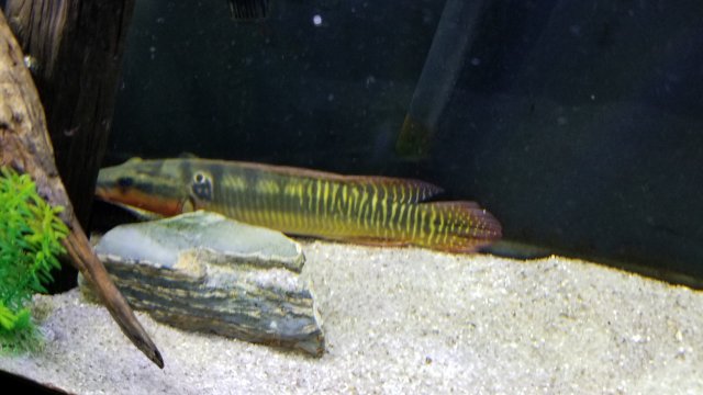 20180227_205203.jpg